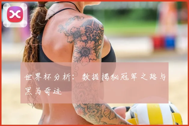 世界杯分析:数据揭秘冠军之路与黑马奇迹