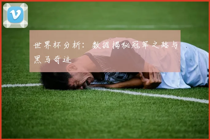 世界杯分析：数据揭秘冠军之路与黑马奇迹